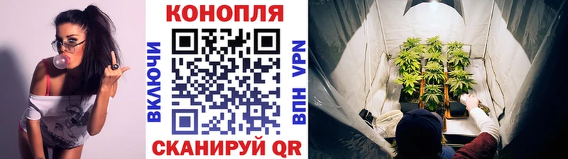 Каннабис Туринск