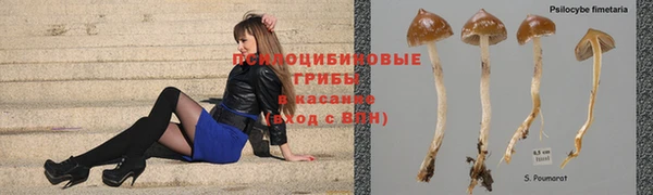 mdpv Алексин