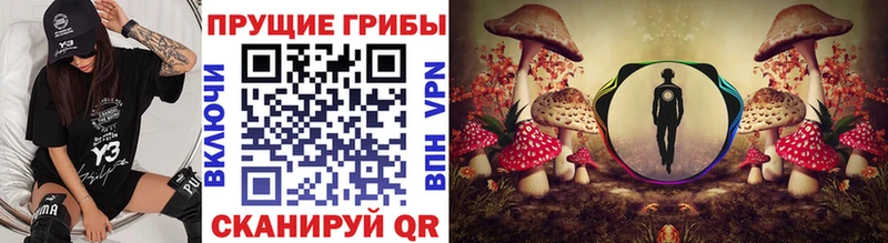 Купить закладки  Туринск  Псилоцибиновые грибы мухоморы 